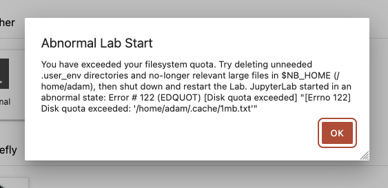 Error message when disk quota is exceeded