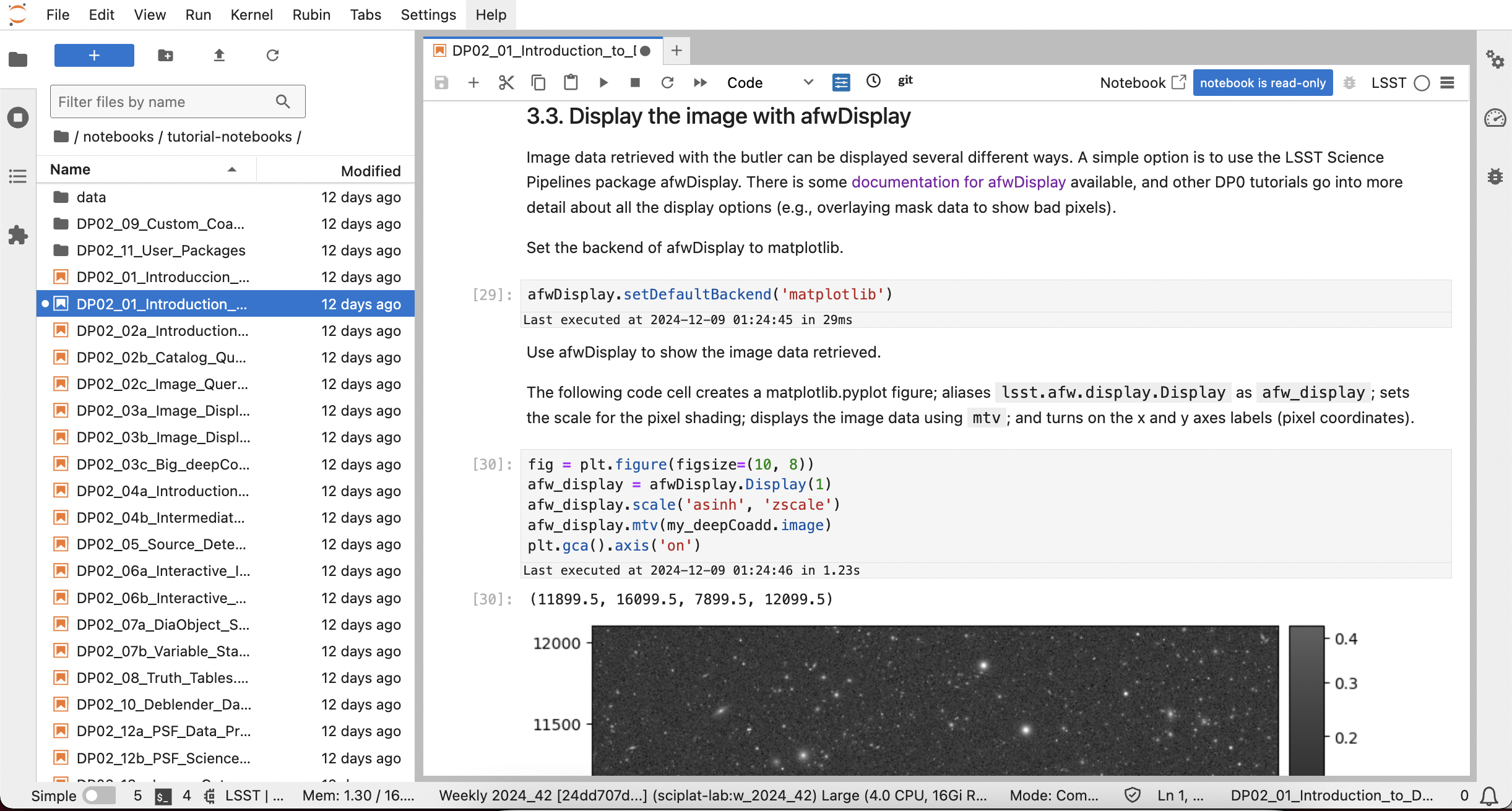 This image is a screenshot of a Rubin tutorial notebook. The notebook has been scrolled down to Section 3.3, which contains both markdown text and code cells which have been executed. The last code cell has produced a grayscale sky image.